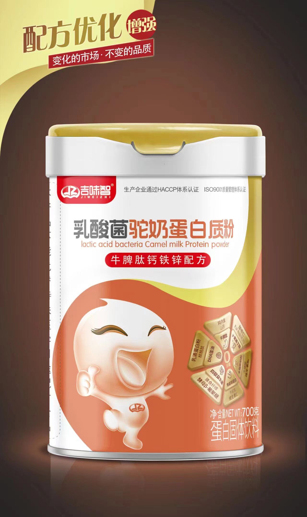 乳酸菌驼奶蛋白质粉