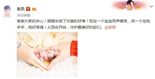 谢娜产下双胞胎 张杰升级当爸爸