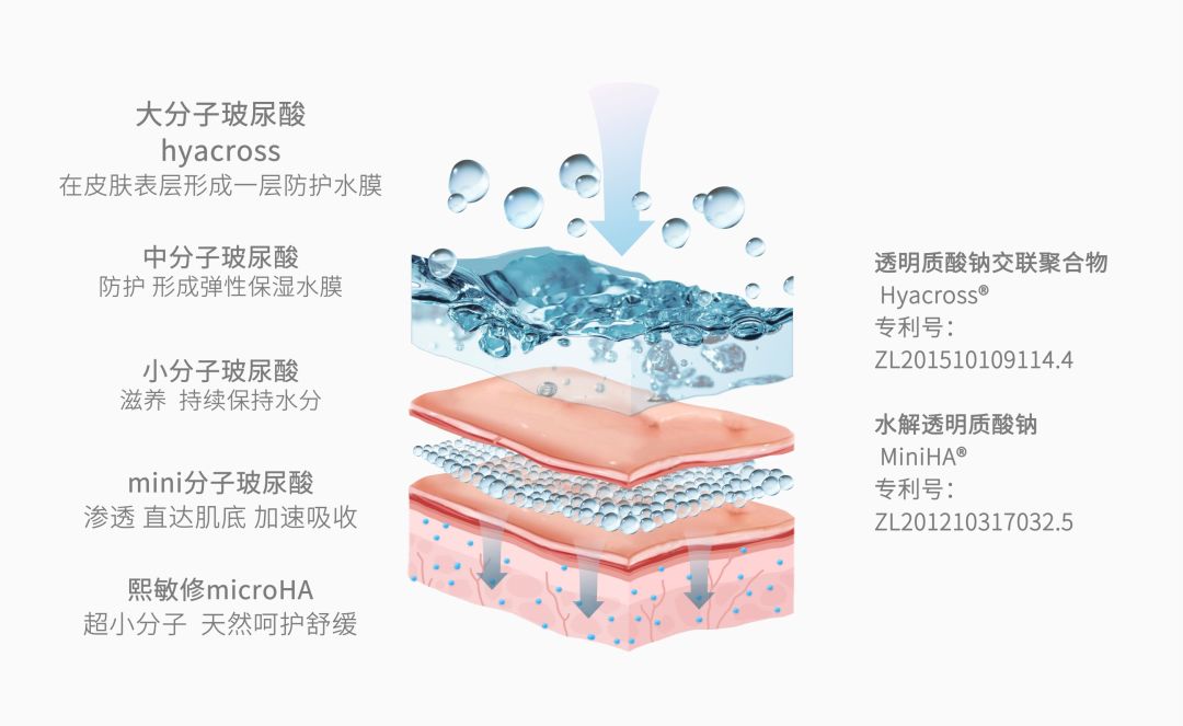 润熙禾产品中的玻尿酸同时含大中小分子
